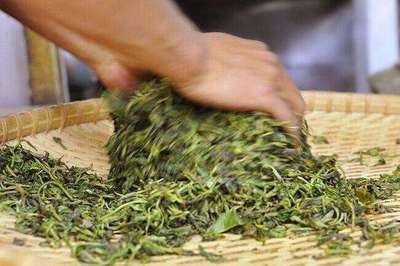 普洱茶制作技藝 殺青，茶味定格的“關(guān)鍵手”